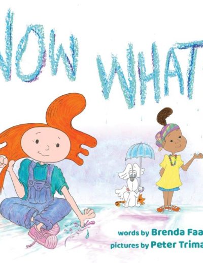 Now What - By Brenda Faatz and Peter Trimarco